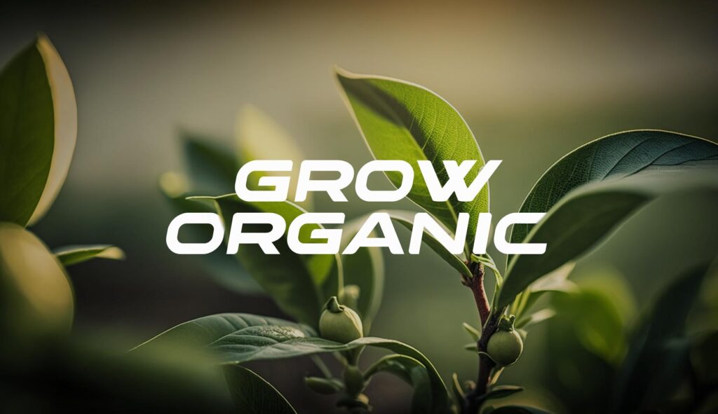 How Growthlogy Uses SEO & Website Optimization to Educate Startups and SMBs