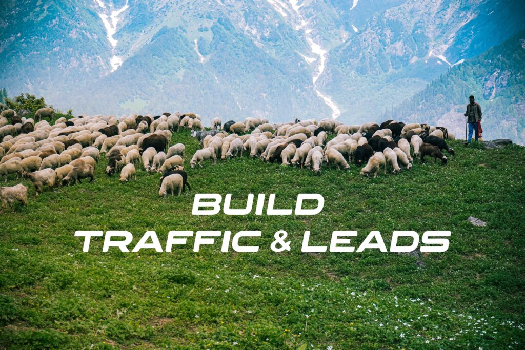 Traffic and Leads