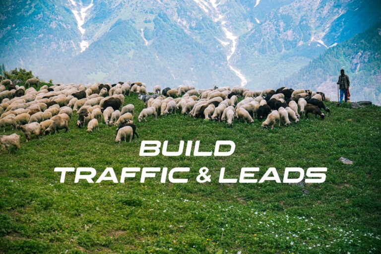 Traffic and Leads